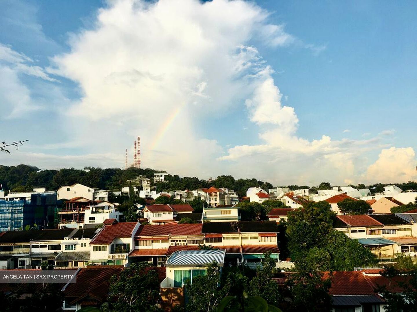 Terrene At Bukit Timah (D21), Condominium #567416151